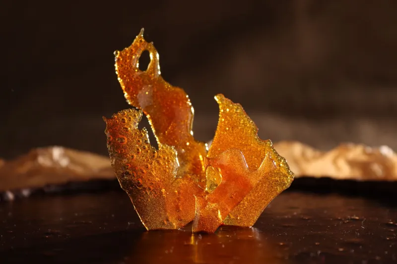 When Sugar Becomes Sculpture: Inside America's Most Breathtaking Edible Art Movement